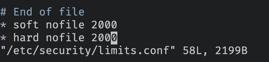 new limits for nofile
